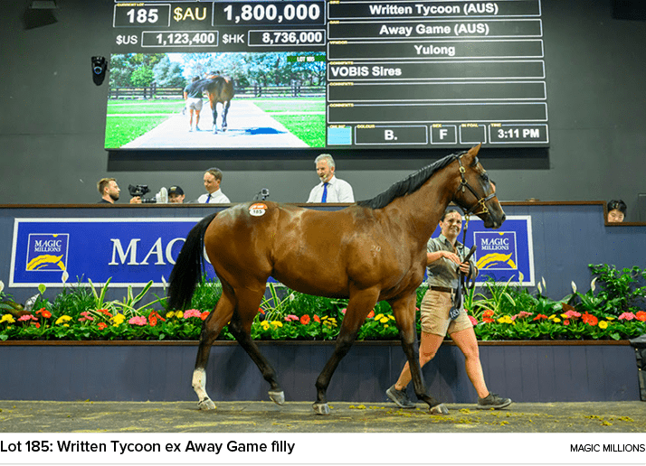 Lot 185: Written Tycoon ex Away Game filly Magic Millions