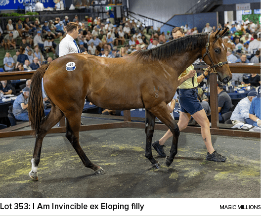 Lot 353: I Am Invincible ex Eloping filly magic million