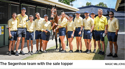 The Segenhoe team with the sale topper magic million