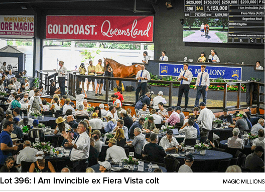 Lot 396: I Am Invincible ex Fiera Vista colt magic million