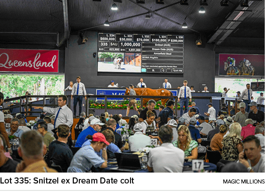 Lot 335: Snitzel ex Dream Date colt magic million