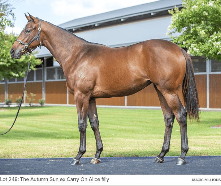 Lot 248: The Autumn Sun ex Carry On Alice filly magic million