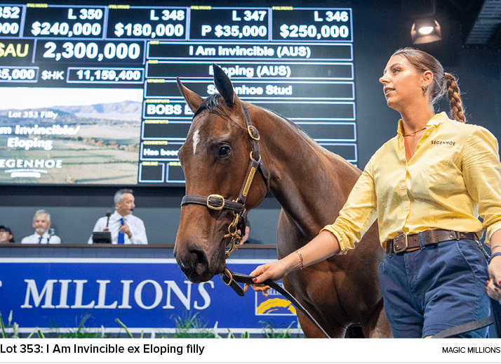 Lot 353: I Am Invincible ex Eloping filly magic million