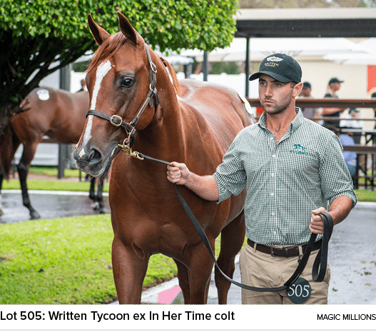 Lot 505: Written Tycoon ex In Her Time colt magic million