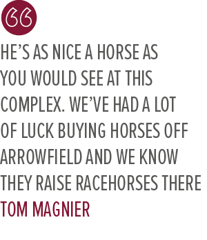 He’s as nice a horse as you would see at this complex. We’ve had a lot of luck buying horses off Arrowfield and we kn...