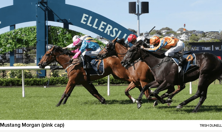 Mustang Morgan (pink cap) Trish Dunel