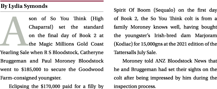 ￼ A son of So You Think (High Chaparral) set the standard on the final day of Book 2 at the Magic Millions Gold Coast...