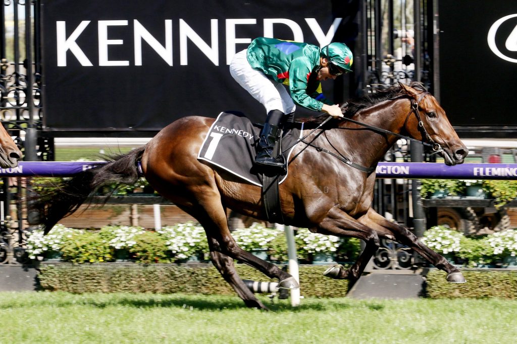 Harvey buys majority share in Alligator Blood - ANZ Bloodstock News