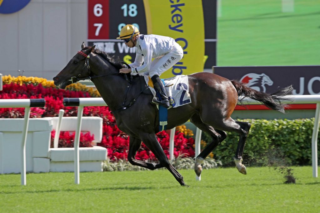 Golden Sixty continues march to Hong Kong Mile ANZ Bloodstock News