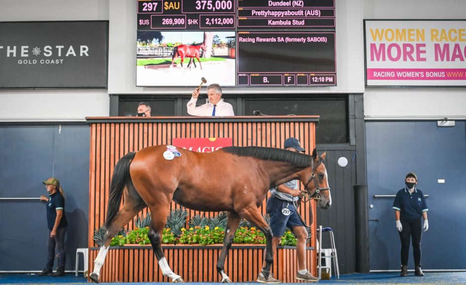 Unprecedented demand for Adelaide sale as Magic Millions compile