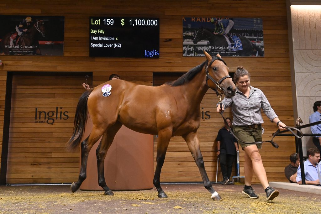 Inglis makes pitch to breeders as entries open for its 2024 sales ANZ