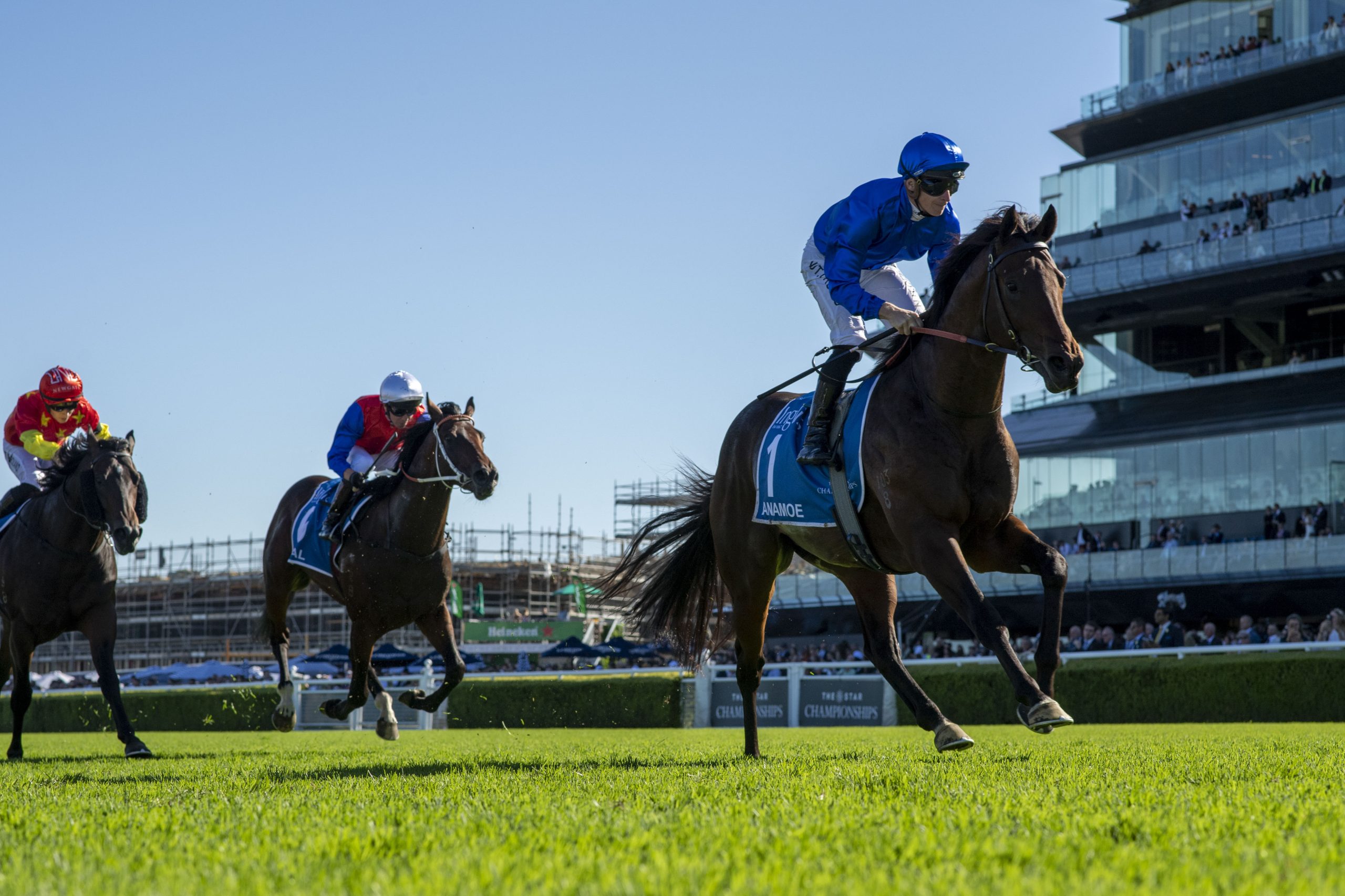 Anamoe crowned Australian Racehorse of the Year - ANZ Bloodstock News