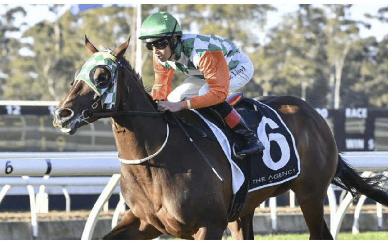 Attard looks to the past for inspiration with in-form Ruby Flyer - ANZ ...