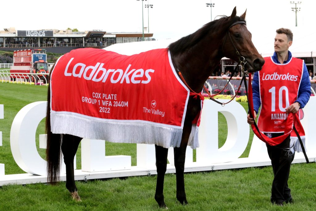 Anamoe front and centre at Racing’s Night of Champions ANZ Bloodstock