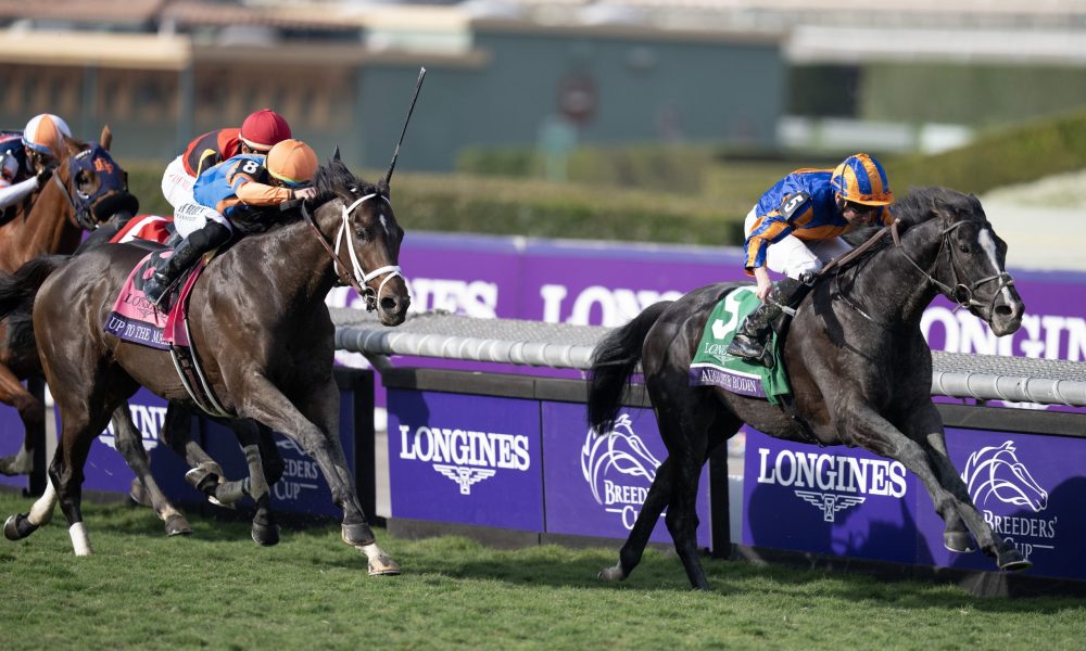 O Brien in seventh heaven after Auguste Rodin bags Breeders Cup