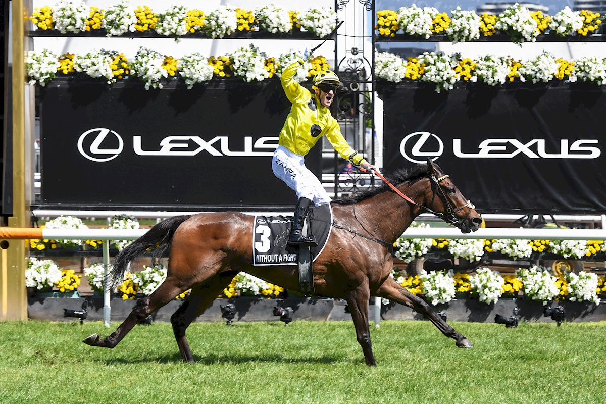 Without A Fight out to create history after Caulfield and Melbourne Cup ...