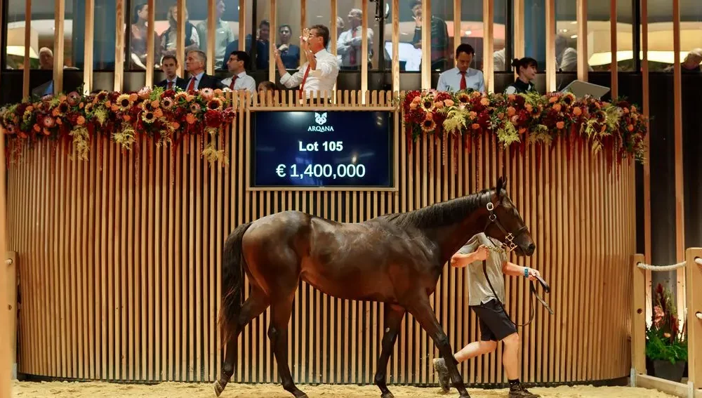 Powerhouse new owner sees off Coolmore to secure €1.4 million Wootton