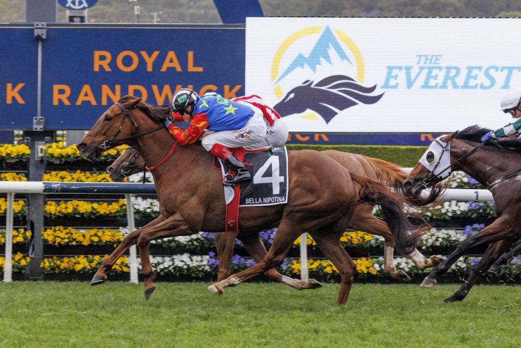 ‘Elite’ Bella Nipotina conquers The Everest ANZ Bloodstock News