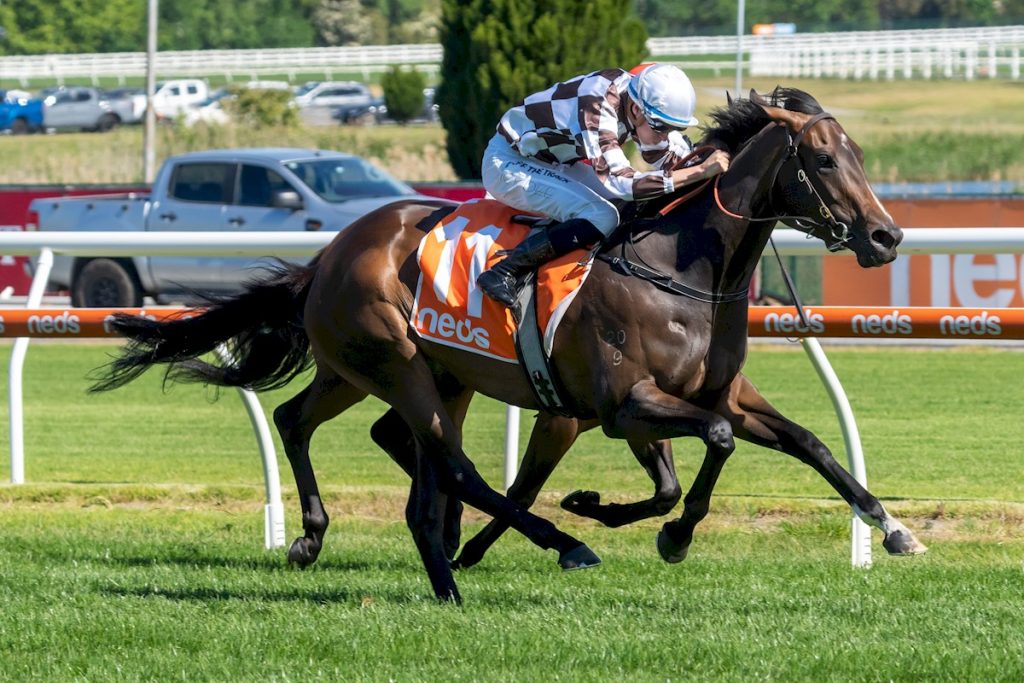 What Time Is The Melbourne Cup Race 2024 Wa Tilly Deedee